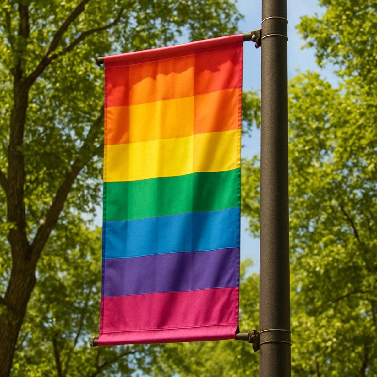 Advertising Flags