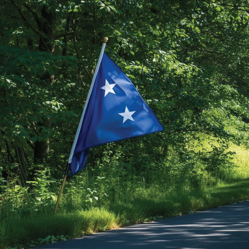 Custom outdoor flag with high-resolution fabric printing for weather resistance.